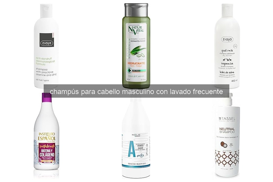 Comparativa de los Mejores Champús para Cabello Masculino 2026