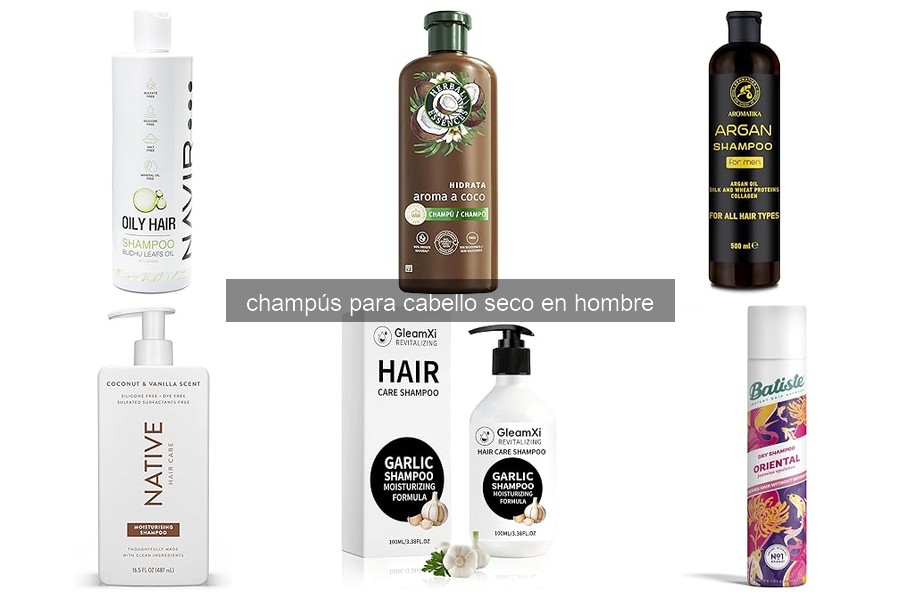 Mejores champús para cabello seco en hombres en 2026